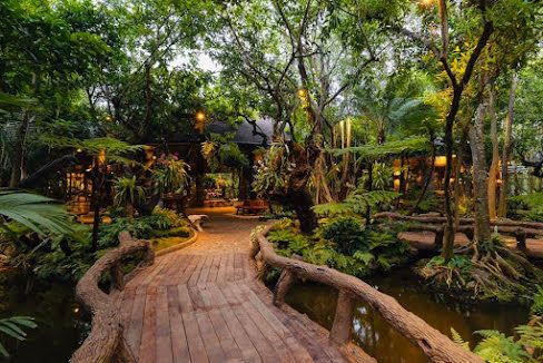 khaomao-khaofang 黑森林餐廳