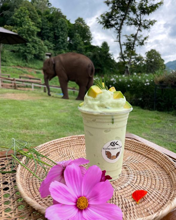 每位將取得 1 籃子香蕉、 1 杯飲料