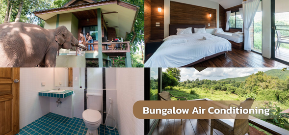 Elephant Friend - Bungalow Air