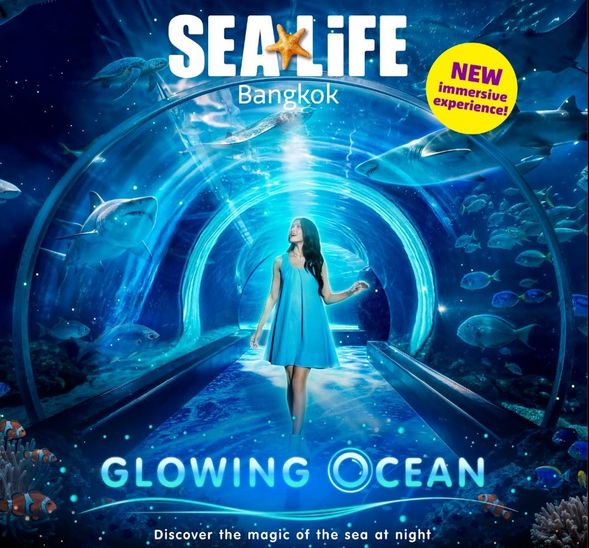在曼谷海洋世界 (SEA LIFE Bangkok Ocean World) 體驗「夜光海洋:探索夜晚海洋的魔力」帶來的沉浸式光影音之旅,感受夜晚海洋的全新魅力。這場限時體驗將於 2026 年 3 月 20 日至 9 月 20 日期間舉行,屆時海底世界將化身為一個神奇的夜間探險之旅。