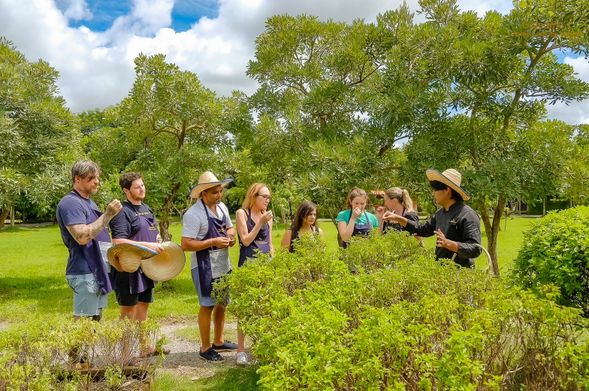 到了學校先休息吃甜點,參觀有機農場,再去採摘素菜