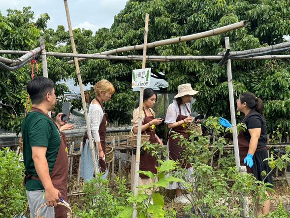 到了學校先休息吃甜點,再去採摘素菜