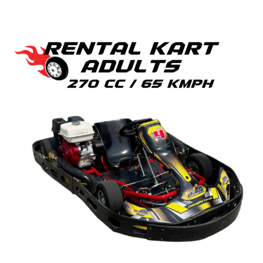 RENTAL KART ADULTS
