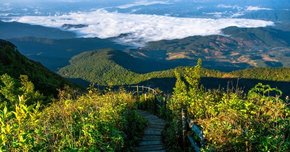 此後在大自然的KewMae
Pan/ Pha Dok Siew 山林步道
中感受並學習大自然的奧妙