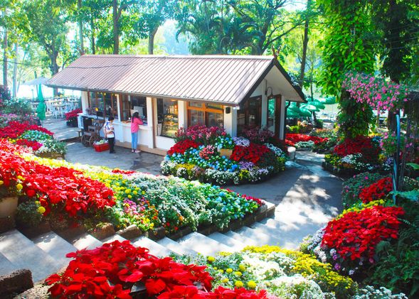 ร้านอาหารกาแล เชียงใหม่, Galae restaurant Chiang Mai