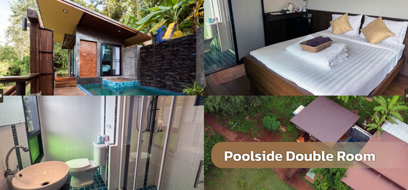 Elephant Friend - Poolside Double Room