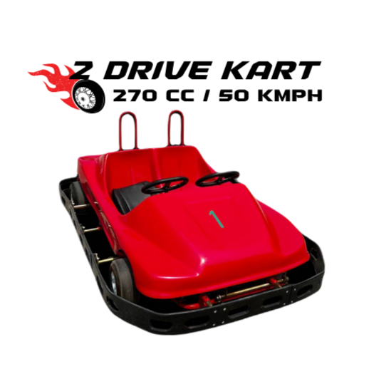 TWO DRIVER KART