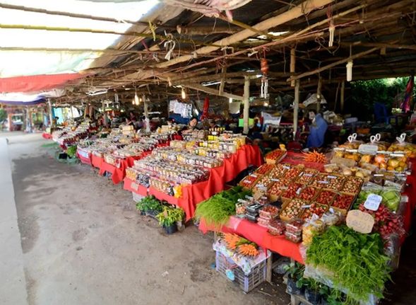 參觀完之後導遊帶您去茵他
儂山何孟市場,自由參觀及
購買時令水果、果酒、野蜂...