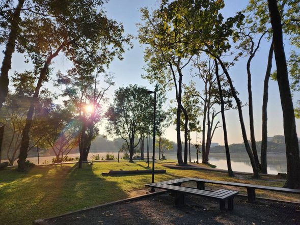 或 清邁大學校園湖畔