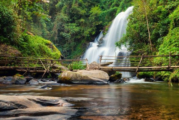 此後在大自然的KewMae
Pan/ Pha Dok Siew 山林步道
中感受並學習大自然的奧妙