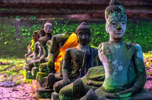 參觀時間大概30 -40 分鐘