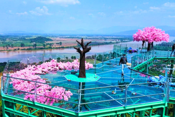 金三角玻璃天空步道
✅搭乘雙條接駁車登上山頂
✅站上透明天空步道,俯瞰湄公河美景
✅泰國、寮國、緬甸三國交會景觀,視野遼闊