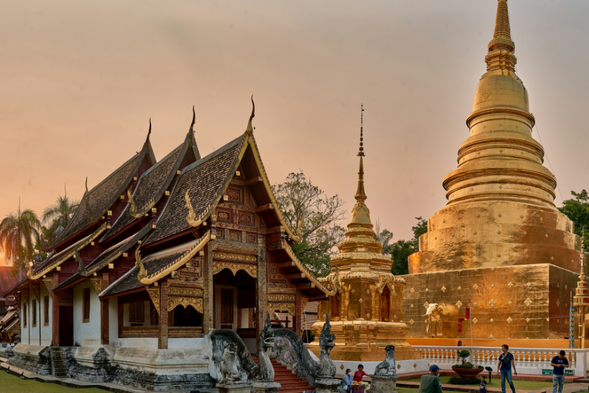 嘟嘟車停靠 Wat Phra Singh (怕辛寺) 及 Wat Chedi Luang (柴狄龍寺)
✅ 參觀蘭納時期著名古寺,感受清邁歷史與宗教文化魅力
✅ 怕辛寺 : 金光閃閃的蘭納風格寺廟建築,氣勢莊嚴華麗
✅ 柴狄龍寺 : 清邁歷史悠久的重要古寺之一,擁有壯觀巨大的古佛塔遺跡