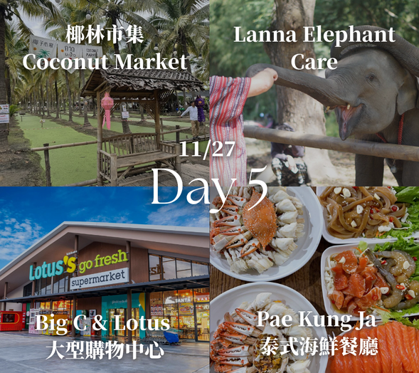 【椰林市集 Coconut Market】: 清邁人氣市集之一,充滿南洋椰林氛圍,聚集各式泰國小吃、特色飲品與手作商品,是拍照打卡與體驗市集文化的熱門景點。
【Lanna Elephant Care】: 清邁知名的大象保育園區,提倡與大象友善互動的體驗方式。旅客可以近距離觀察大象、餵食並了解牠們的生活,是寓教於樂的特色體驗活動。
【Big C & Lotus 大型購物中心】: 泰國知名的大型連鎖超市與購物中心,販售各式零食、伴手禮、服飾與生活用品,是購買泰國特色商品的好地方。
【Pae Kung Ja 泰式海鮮餐廳】: 清邁人氣海鮮餐廳,以新鮮泰國蝦、螃蟹與各式泰式海鮮料理聞名,料理口味濃郁,是喜愛海鮮旅客的最愛。