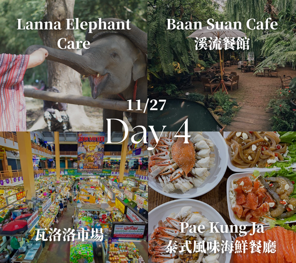 【Lanna Elephant Care】:清邁知名的大象保育園區,提倡與大象友善互動的體驗方式。旅客可以近距離觀察大象、餵食並了解牠們的生活,是寓教於樂的特色體驗活動。
【Baan Suan Cafe 溪流餐館】:餐廳座落於溪流旁,邊用餐邊感受自然水聲與森林氛圍,是清邁著名的自然系餐廳之一。
【瓦洛洛市場】:清邁歷史悠久的傳統市場之一,聚集各式泰國小吃、乾貨、服飾與當地特色商品,是體驗在地生活與購買伴手禮的熱門地點。
【Pak Kung Ja 泰式海鮮餐廳】:清邁人氣海鮮餐廳,以新鮮泰國蝦與各式泰式海鮮料理聞名,餐廳氣氛熱鬧,料理口味濃郁,非常適合喜愛海鮮料理的旅客。