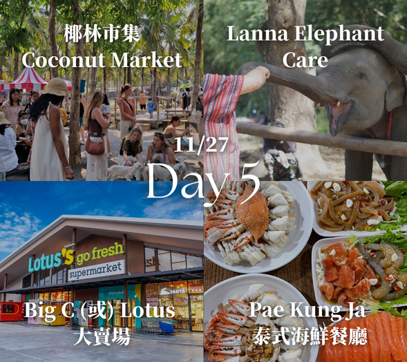【椰林市集 Coconut Market】: 清邁極具特色的在地市集,充滿南洋椰林風情,聚集各式小吃、手作與農產攤位,是貼近當地人日常生活、最具在地溫度的一處市集。
【Lanna Elephant Care 大象保育園區】: 採「不騎乘」的友善大象體驗園區。在保育員帶領下親手餵食大象、近距離認識牠們的習性與保育故事,兼具趣味與教育意義。
【Big C 或 Lotus 大賣場】: 泰國最具規模的大賣場,泰式零食、椰子製品、按摩香氛與各式伴手禮一次補齊,是購買泰國特色商品的好地方。(本行程全程不安排任何購物站,此處為單純自由採買。)
【Pae Kung Ja 泰式海鮮餐廳】: 清邁人氣海鮮餐廳,以新鮮泰國蝦、螃蟹與各式泰式海鮮料理聞名,料理口味濃郁,是喜愛海鮮旅客的最愛。