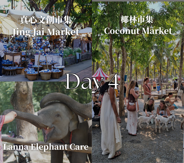【椰林市集 Coconut Market】: 充滿南洋椰林氛圍,聚集各式泰國小吃、特色飲品與手作商品,是拍照打卡與體驗市集文化的熱門景點。
【Chum Northern Kitchen】:以正宗泰北傳統料理聞名的米其林推薦餐廳。
【Lanna Elephant Care】:清邁愛護大象的大象保育園區,提倡與大象友善互動的體驗方式。旅客可以近距離觀察大象、餵食並了解牠們的生活,是寓教於樂的特色體驗活動。
【Big C & Lotus 大賣場】:泰國知名大型連鎖購物中心與超市,販售各式零食、伴手禮、服飾與生活用品,是旅客購買泰國特色商品與零食的好地方。