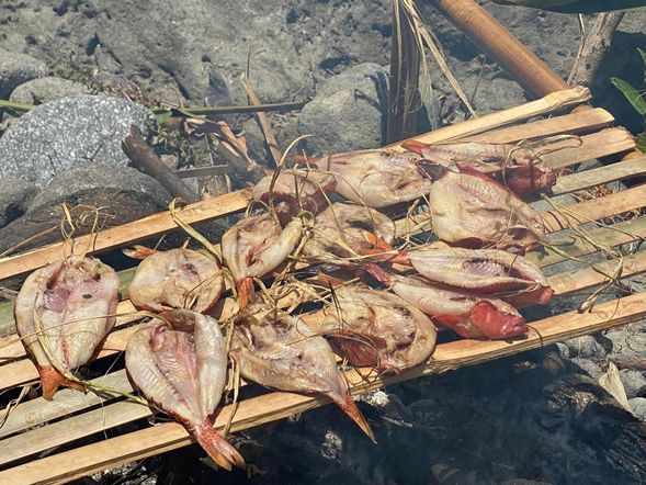 利用竹子燒烤一夜甘鮮魚