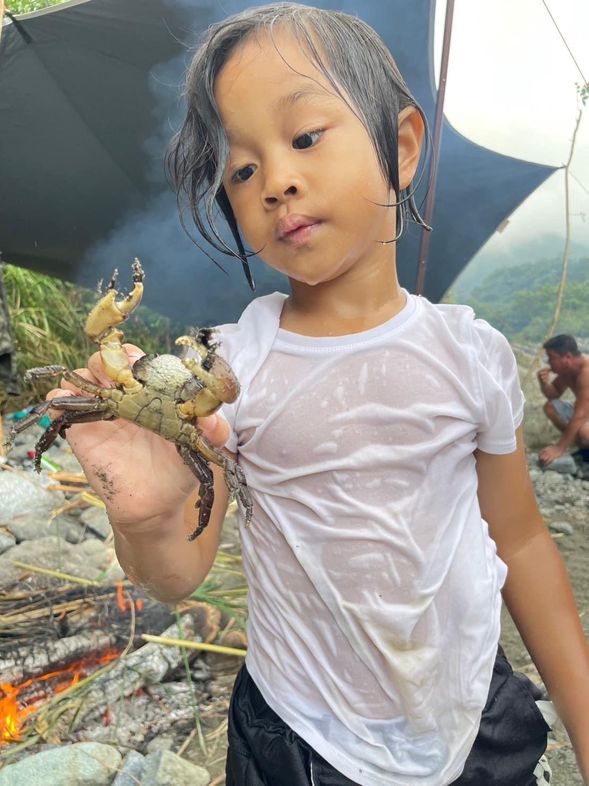 溪流自然生態捕抓毛蟹