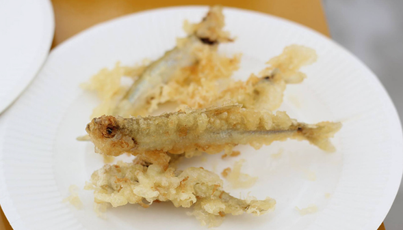 【10:00/14:00】Ice fishing experience starts (at the rental house), Wakasagi Tempura tasting