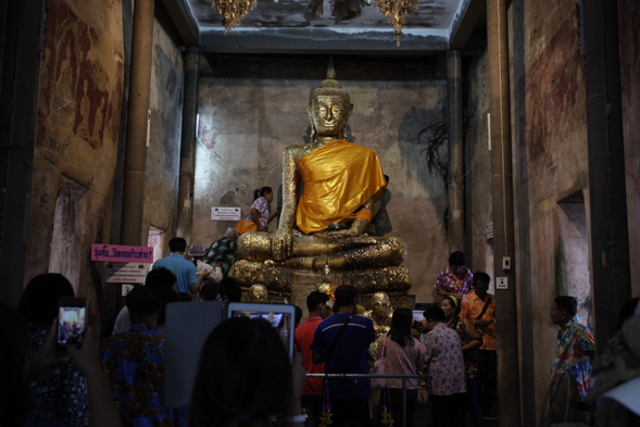 參訪與與自然成為一體的樹中廟