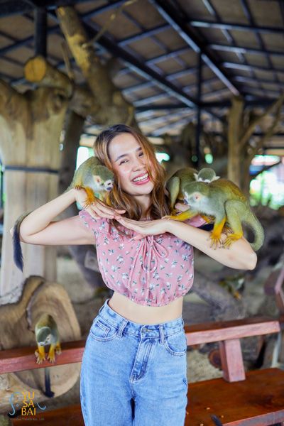 享受與可愛的松鼠猴的有趣邂逅