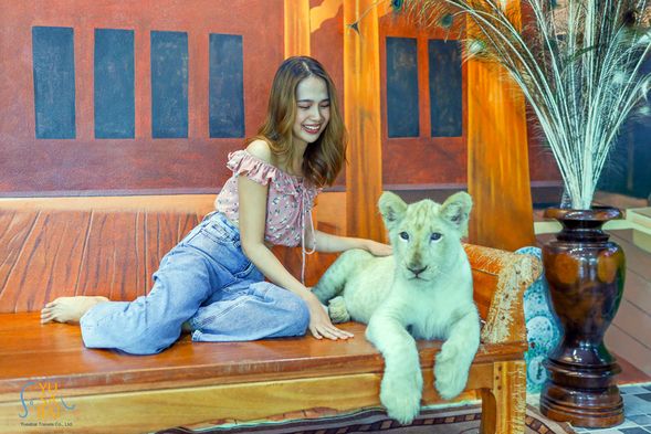 跳上野生吉普車,探索被頑皮的長頸鹿包圍的動物園