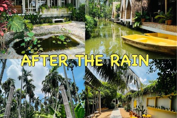 在叢林環繞的 After the Rain Coffee & Gallery 中享受划船情調
