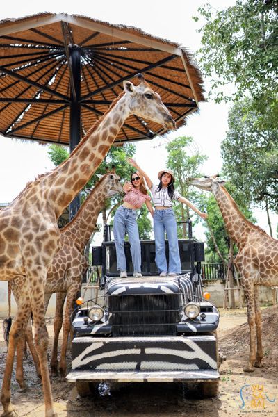 抵達Sriayuthaya 獅子公園。與長頸鹿邂逅並拍攝完美自拍照,留下難忘的體驗