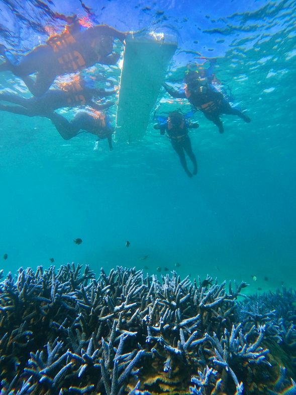 東嶼坪浮潛教學及浮潛活動