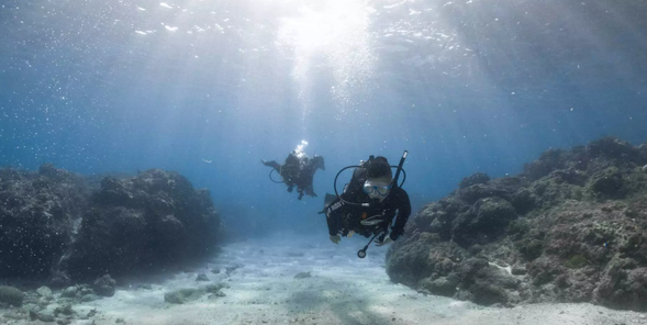 透過 PADI 開放水域潛水員課程來探索水底下的世界