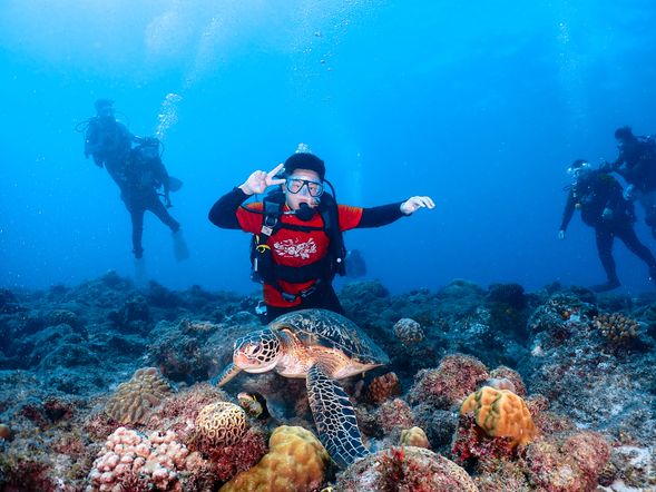 有機會與海龜共游
