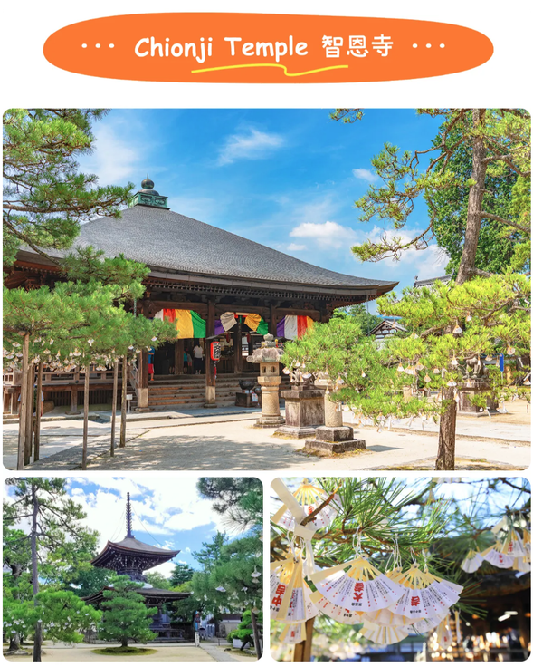 智恩寺・文殊堂