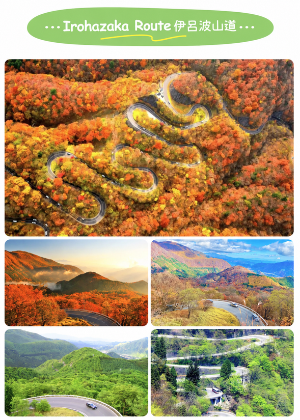 伊吕波山道(车览)