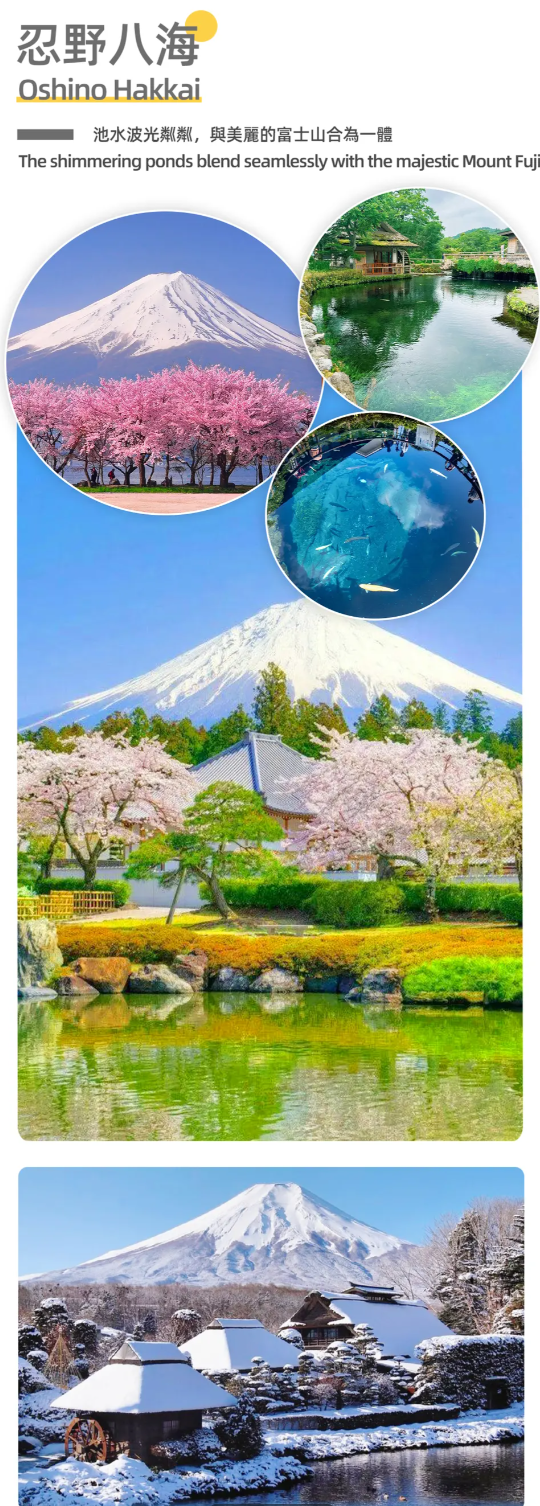 忍野八海