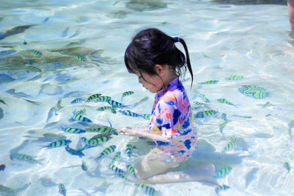 After lunch, enjoy your free time.