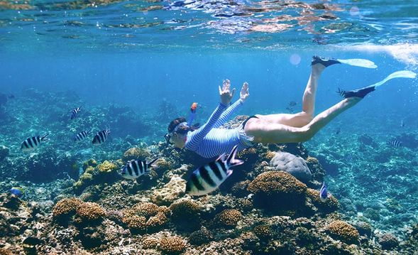 Arrive at Maithon Island. Enjoy snorkeling in clear blue sea with colorful coral and various type of fishes!