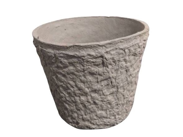 During the workshop, you’ll work with STEMN, an eco-friendly product made from recycled paper pulp and upcycled flower stems that would otherwise go to waste. This ethical planter is not only creative but also kind to the planet.