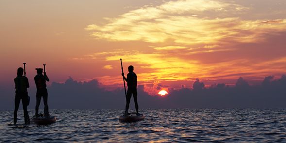如果參與日出時段,寬廣無邊際的海岸等待日出