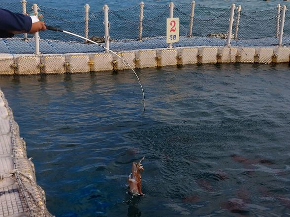 釣起來時,很有成就感