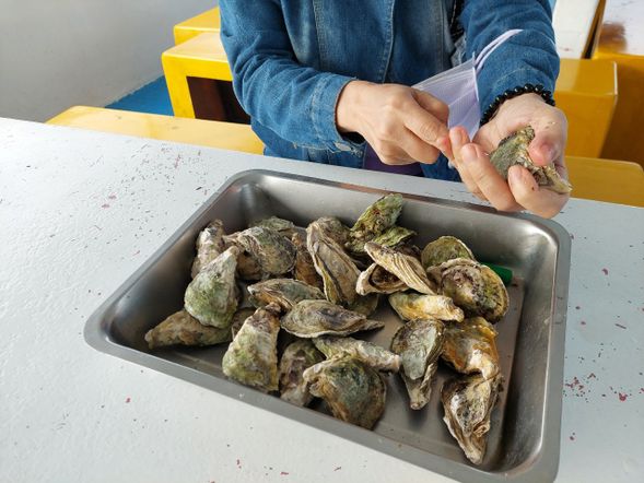滿滿的牡蠣 鮮甜好吃
