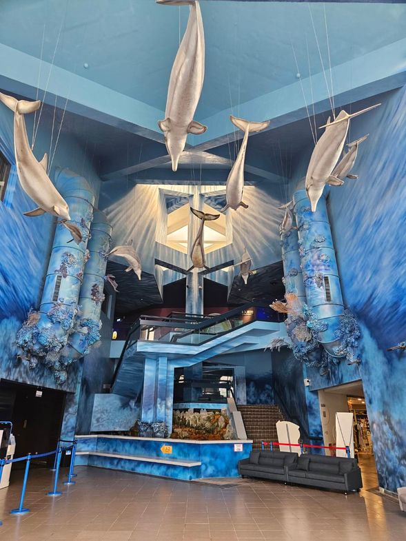 澎湖水族館趴趴走