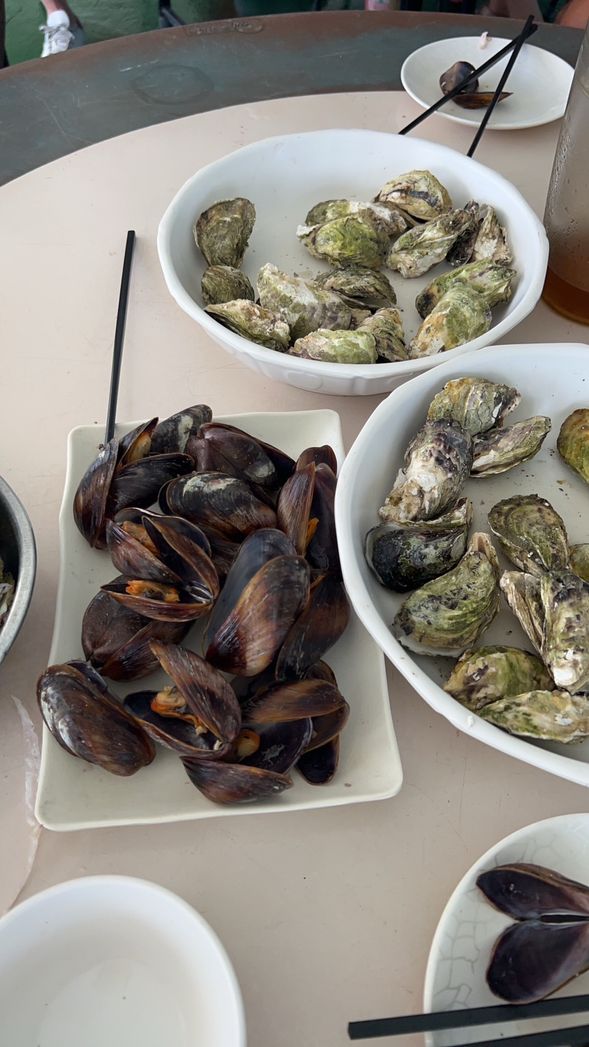 蒸牡蠣跟自己挖的紅蚵