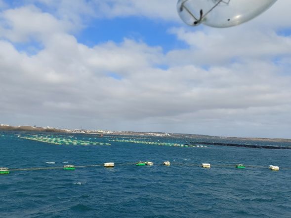 澎湖內海-觀光海田 牡蠣養殖