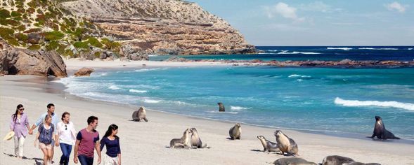 在阿德莱德市区酒店或者阿德莱德中央汽车站集合(Adelaide central bus station)