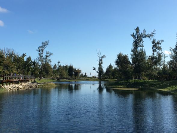 台東森林公園~因潮汐自然形成的天然湖泊-琵琶湖;湖光幽靜秀麗、風光如詩、景緻若畫,步道完善,可自費租騎單車或步行繞一圈沿途欣賞湖畔的美麗景緻或漫步於黑森林之中。
