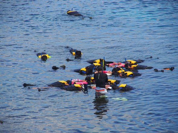 第二天 蘭嶼環島采風/蘭嶼浮潛、拼板舟體驗(2選1)/蘭嶼