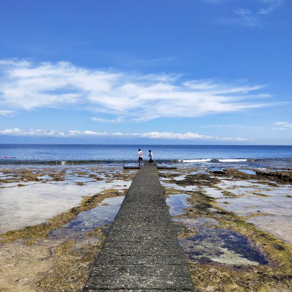 飯店享用自助式早餐後;騎乘機車環島采風,大白沙、牛頭山樓門岩探險或潟湖潮間帶生態之旅