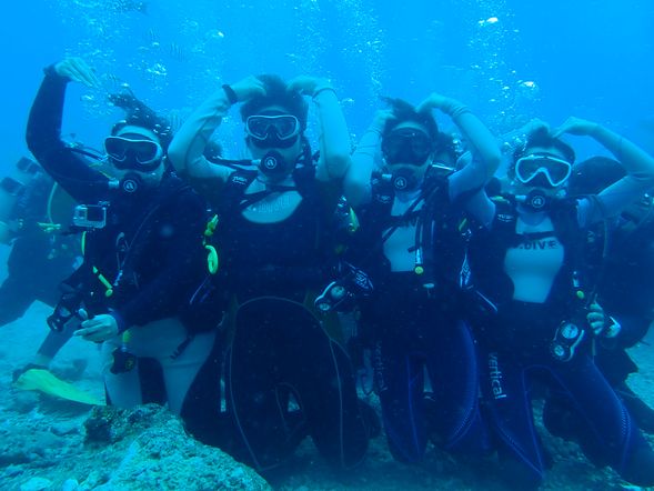 亦可自費潛水體驗綠島美麗的海底生態