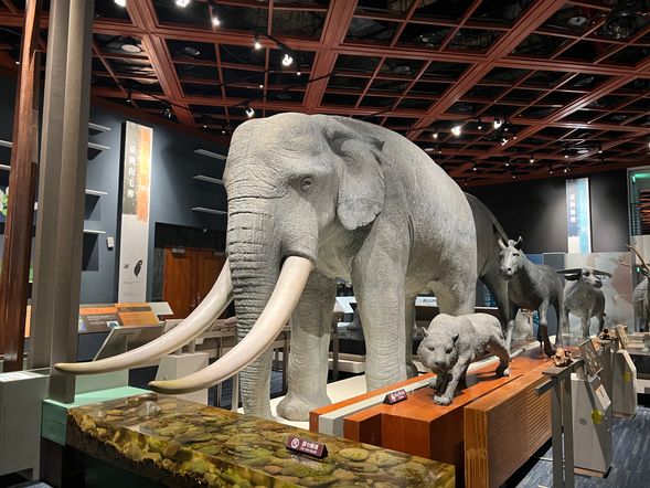 台灣史前文化博物館~走訪三大展廳(臺灣史前史廳、南島廳、臺灣自然史廳),讓您更認識史前人的故事、南島文化以及臺灣誕生的祕密。